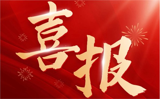 集團榮膺2025中國民營企業500強第249位，制造業民營企業500強第177位，排名較去年雙雙大幅提升