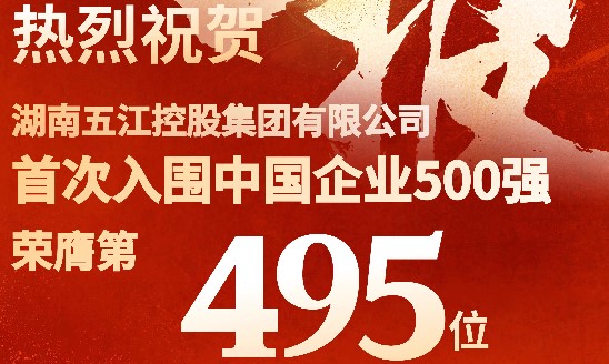 喜報！集團首次躋身中國企業500強